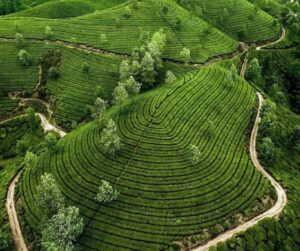 Famous Tourist Destination In India