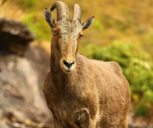 Famous Tourist Destination In India