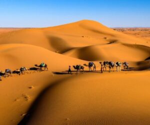 Famous Tourist Destination In India