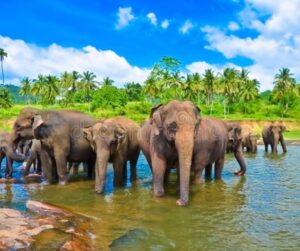 14 Most Dangerous Places on Earth