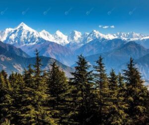 20+ Most Famous Tourist Places In India