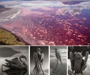 14 Most Dangerous Places on Earth