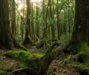 Top 20 Extreme Paranormal Places on the earth