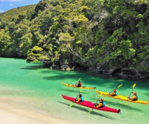 Explore 15 Famous Tourist Places In New Zealand