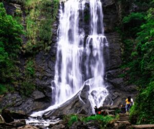 Top 10 Tourist Places to Visit in Chikmagaluru