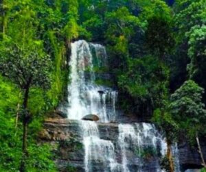 Top 10 Tourist Places to Visit in Chikmagaluru