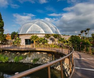 12 Awesome Things To Do In Auckland