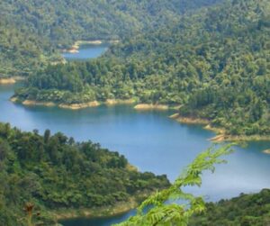 12 Awesome Things To Do In Auckland