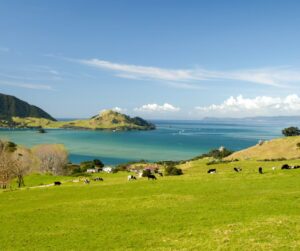 14 Beautiful Places to visit on North Island, NZ