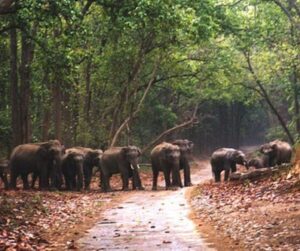 Top 12 Destination In Uttarakhand