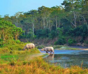 Top 10 Amazing Places to Visit In Nepal