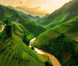 19 Things to do when you are Travelling in Vietnam