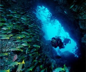 10 Best Scuba Diving Destinations In The World
