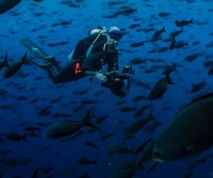 10 Best Scuba Diving Destinations In The World