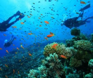 10 Best Scuba Diving Destinations In The World