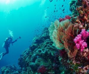 10 Best Scuba Diving Destinations In The World
