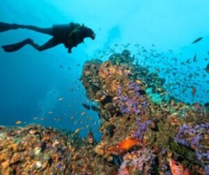 10 Best Scuba Diving Destinations In The World