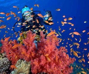 10 Best Scuba Diving Destinations In The World